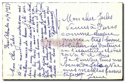 Pansies kolorowe — Szczere życzenia na rolce — M.D. Paris — Rewers