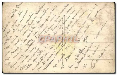Linguagem das Folhas — REX 2651 — Verso