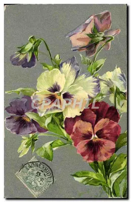 Flores de pensamento — edição anônima