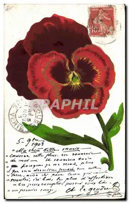 Papoula vermelha — carta postal datada de 5 de novembro de 1903 — editada por Levelez Lap - Dospinice