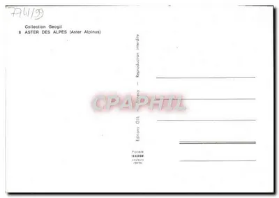 Aster delle Alpi — Collezione Geogii — Edizioni IAKKRON — Verso
