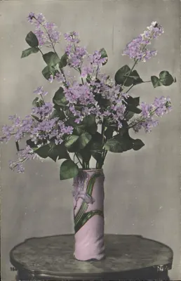 Lilas em vaso — edição Nero — n° 158