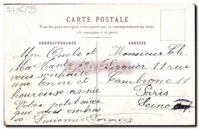 Flores de geranios — ilustración — editor no visible — Reverso