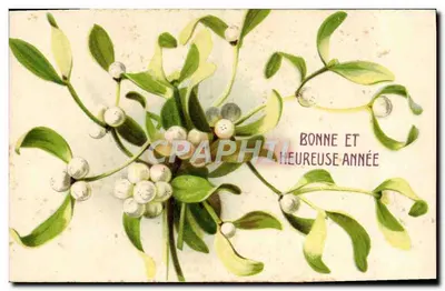 Mistral — Bonne et heureuse année