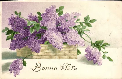 Bouquet de lilas — Boa Festa — editor não visível