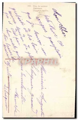 Bouquet de sweetpea — editor E. Lamy, n° 2458 — Verso