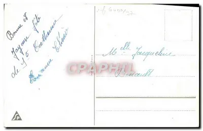 Fioletowe kwiaty w naczyniu — ilustracja — wydawca SP — Rewers