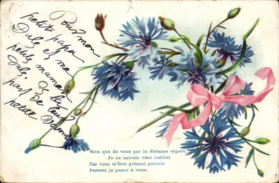 Arranjo de papoulas — carta postal com texto impresso e escrita manuscrita — editor Cartolina Postale