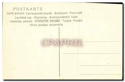 Heath Flowers — ilustração botânica — n° 083 — Verso