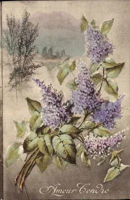 Lilas — Amor Cinza — Ed. Brecheynous, Imp. LdL, Série N°18