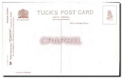 Fucsia — disegno a acquarello — Tuck & Sons, n° 8489 — Verso