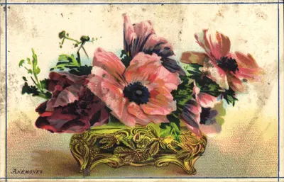 Anêmonas — buquê em vaso ornamental — A. Bonnin-Lecomte, Châteauroux