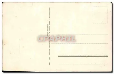 Żółte kwiaty primevery — ilustracja botaniczna — Paraphilhildruck v. Martin Renner & Co., Stuttgart — Rewers