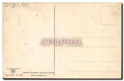 Alpejski łąkowy kwietnik — góry i lasy — Photochromie, seria 507, nr 771 — Rewers