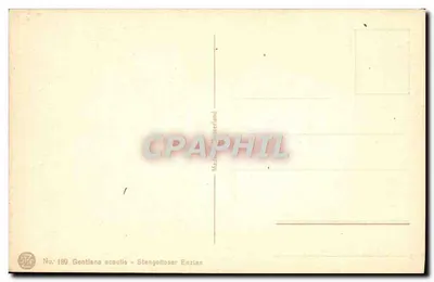 Gentiana acaulis - Stengelloser Enzian — Gentiana acaulis - Enzian sem caule — editor Maillat, Suíça, n° 189 — Verso