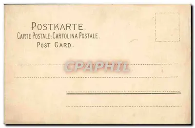 Kwiaty clematysu — ilustracja botaniczna — wydawca nieznany — Rewers