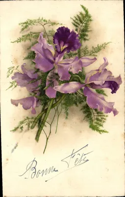 Arranjo de íris violetas — Boa Festa — editor não identificado