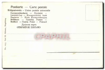 Flor branca — ilustração botânica — Carl H. Odemar, Magdeburg, n° 1273 — Verso