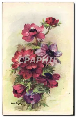 Flores de anêmonas — desenho a água-forte — Louis Pigeonneau