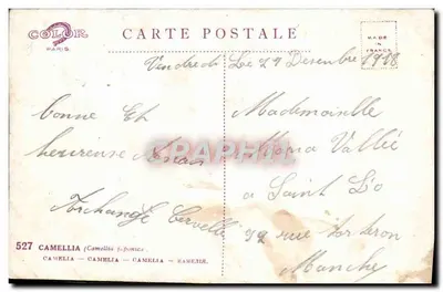 Camélia — Camélia japonica — editor COLOR PARIS, n°527 — Verso