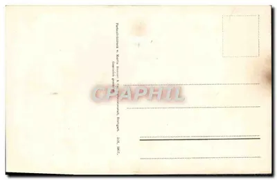 Dwie tulipany — jedna różowa, jedna żółta z czerwonymi plamami — wydawca Reboundicdame v. Martin Komp & Co. Stuttgart — Rewers