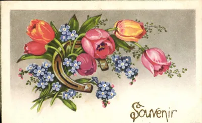 Arranjo de tulipas e flores azuis — Lembrança — editor SP