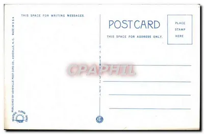 Flor de poinsettia — Florida — Asheville Post Card Co. n°169 — Verso