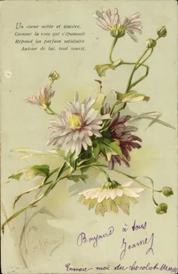 Arranjo de crisântemos — poema e mensagem — editor Z.H. Brunet