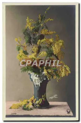 Mimosa em um vaso decorativo — fotografia de Bast Viès — editor Croissant, n° 3942