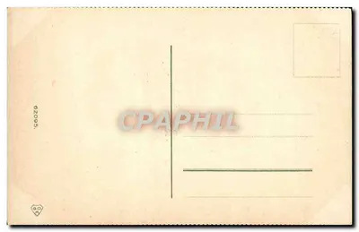 Cravos — ilustração botânica — editor desconhecido, número de série 62095 — Verso