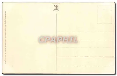 Carnações — diante de um pequeno muro de madeira — editor M&B, série não visível — Verso