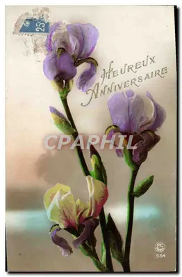 Iris — Aniversário — PC 554