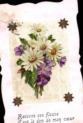 Arranjo de flores — texto impresso e decorações — editor desconhecido