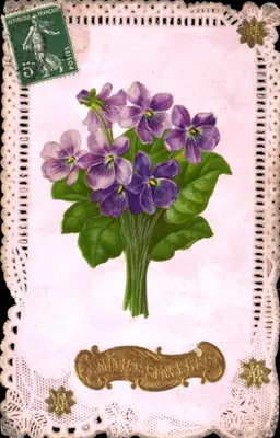 Mata de violetas — Amizades sinceras — editor desconhecido