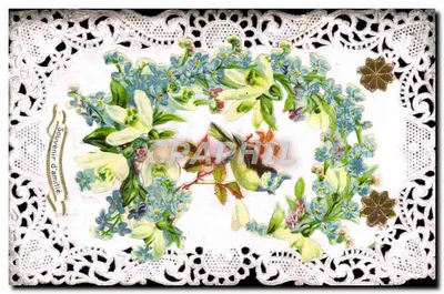 Flores e pássaro — Lembrança de amizade — União Postal Universal