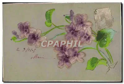 Flores de lírios — ilustração aquarelada — datada 3/1/1907
