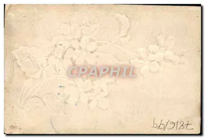 Flores de lírios — ilustração aquarelada — datada 3/1/1907 — Verso