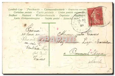 Fiolety — Przyjazny przypominek — Rewers