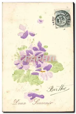 Flores de violetas — Doce Lembrete — editor não visível