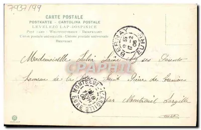 Mata de violetas — Carta postal com texto manuscrito — Editor: 220 — Verso