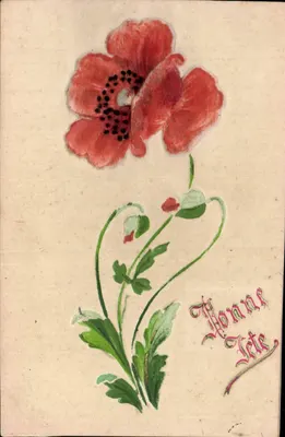 Flor de papoula — Boa festa — Carte postale multilingue