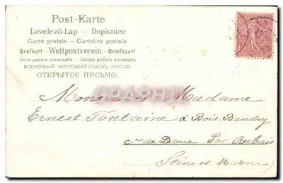 Arranjo de flores azuis — Feliz aniversário — editor Sarto, n°318 — Verso