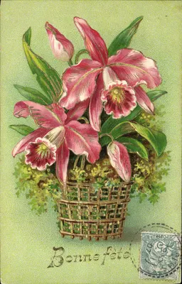 Arranjo de orquídeas rosas — Feliz aniversário — editor desconhecido, número de série não visível