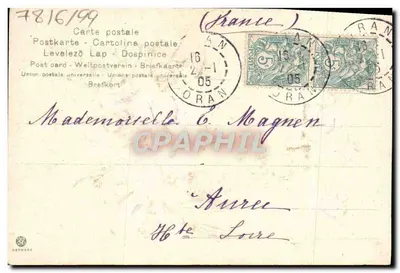 Violetas — carta postal ornada de violetas — editor não visível — Verso
