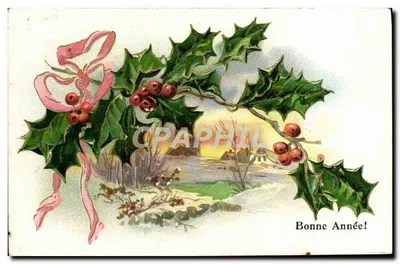 Cipreste e fita rosa — paisagem invernal — editor não visível