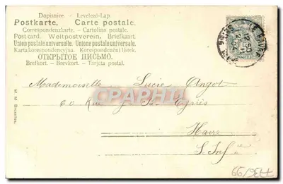 Carte postal decorativa — motivo floral e trevo — editor desconhecido — Verso