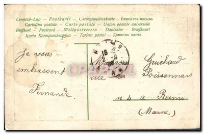 Arranjo de flores violetas — Amizade sincera — Carta postal multilíngue — Verso