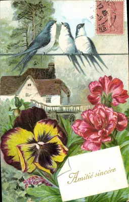 Três pássaros em fio — paisagem rural com flores — editor não visível