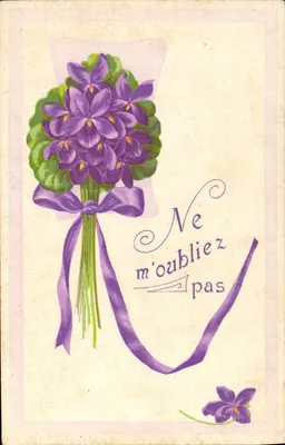 Buquê de violetas — Não me esqueça