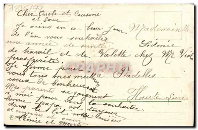Dos pájaros sobre rama de acebo — Feliz Año — tarjeta postal de felicitación — Reverso
